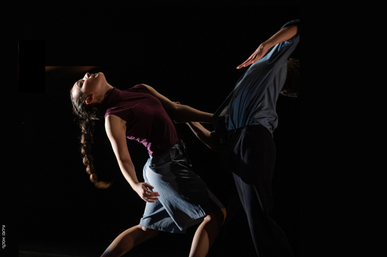 אודישן להכשרת רקדנים - יוצרים